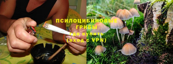 стаф Армянск