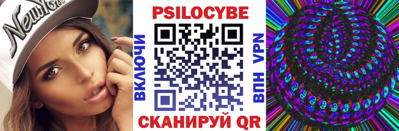 Галлюциногенные грибы Psilocybe Константиновск