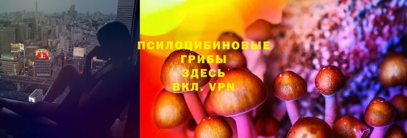 Псилоцибиновые грибы Psilocybine cubensis  где купить наркоту  Константиновск 